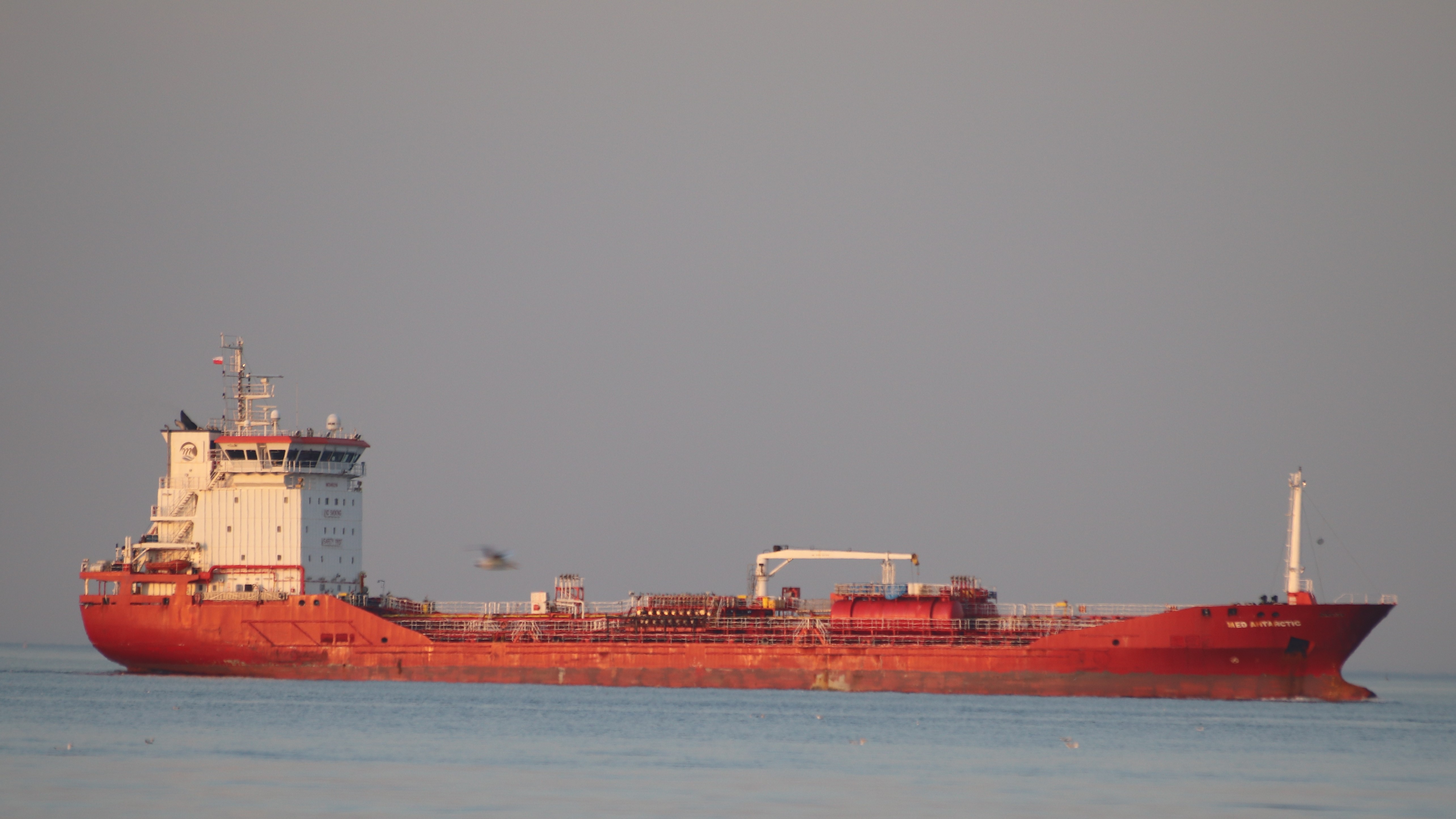 MED ANTARCTIC