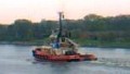 SD SALVOR