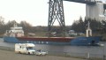 WILSON HARRIER
