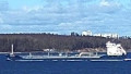 WISBY VERITY