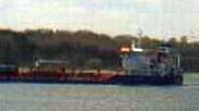 YM NEPTUNE