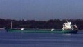 ARKLOW WILLOW