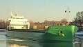 ARKLOW WILLOW