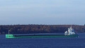 ARKLOW WILLOW