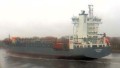 BALTIC SHARK