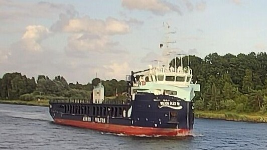 WILSON FLEX III
