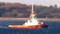 RED DOLPHIN