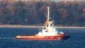 RED DOLPHIN