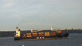 MSC LENA F