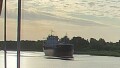 CSL ELBE