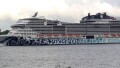 MSC EURIBIA