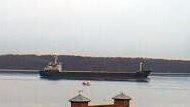 PALAMAS