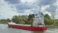 FEED HELGELAND