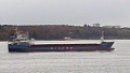 WILSON HOOK