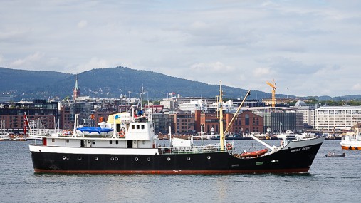 GAMLE OKSOY