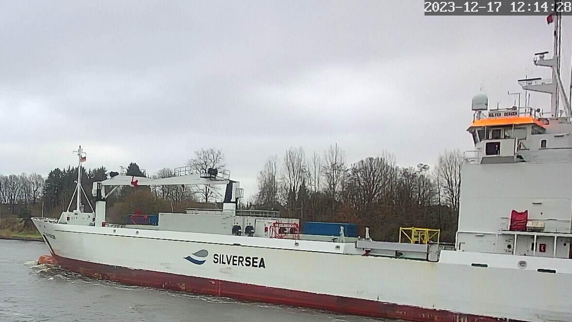 SILVER BERGEN