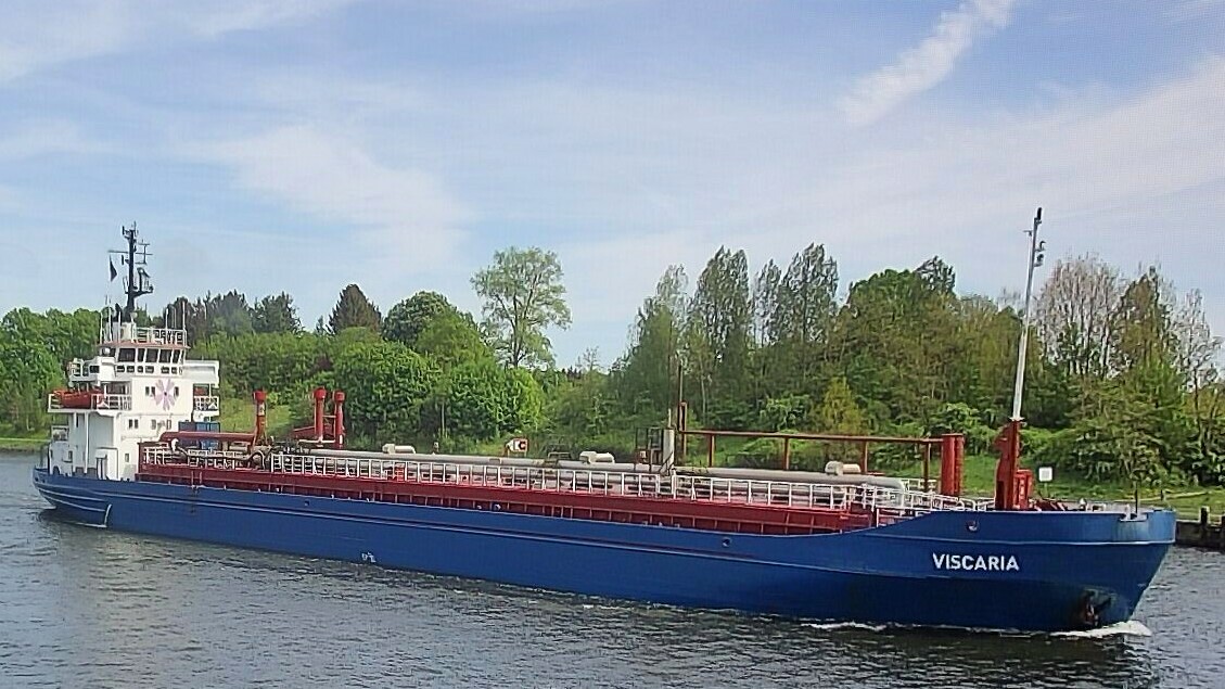VISCARIA