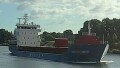 WILSON NEWPORT