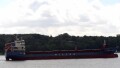 WILSON NEWCASTLE