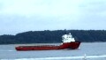 SAR MARINER