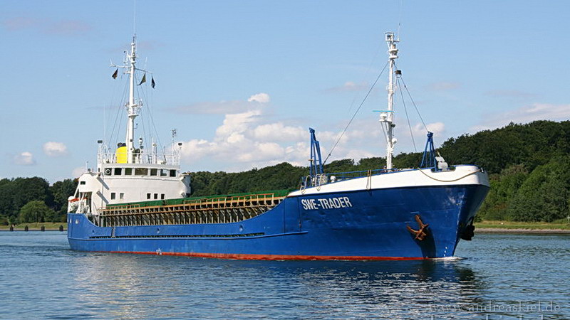MS VIDI