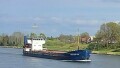 OMSKIY 134