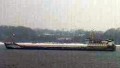 AMUR 2513