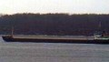 VOLGO BALT244