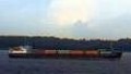 VOLGO BALT 239