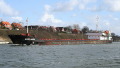 VOLGA 4004