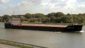 VOLGO BALT 229