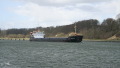 VOLGO BALT 230