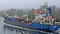 PAVINO