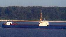 STK 1005