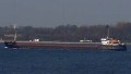 VOLGO BALT 210