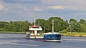 WILSON ODRA