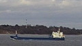 WILSON HALSVIK