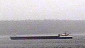 RHODANUS