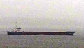 GERMANICA HAV
