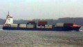 FINE SCHEPERS