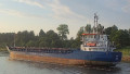 WILSON DIRDAL