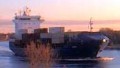 SELFOSS