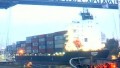MV DRIEVER