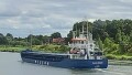 WILSON DUSAVIK
