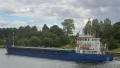 WILSON DUNDEE