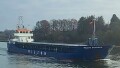 WILSON DRAMMEN