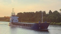 IMI