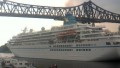 AMADEA