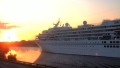 AMADEA