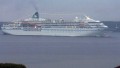 AMADEA